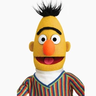 BERT community
